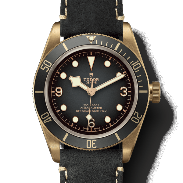 チューダー BLACK BAY BRONZE ブロンズ 43mm スレートグレー