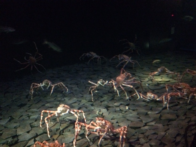 「環境水族館」アクアマリンふくしま