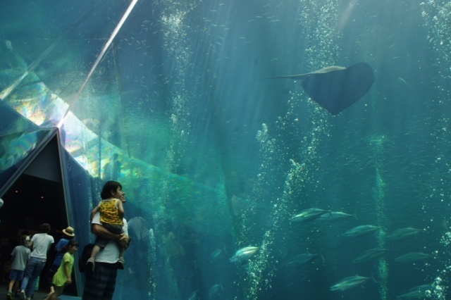 「環境水族館」アクアマリンふくしま